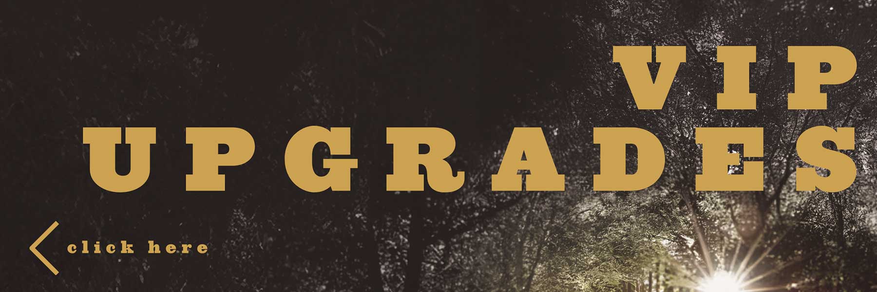 Toad the Wet Sprocket VIP upgrades